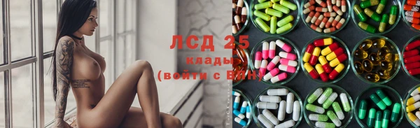 бошки Заводоуковск