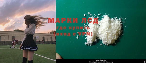 СК Елизово