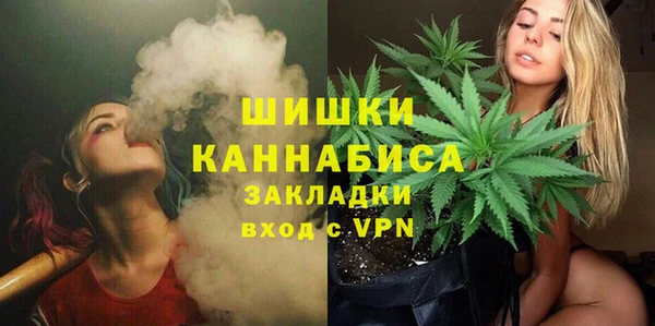 СК Елизово