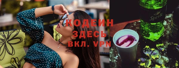 СК Елизово