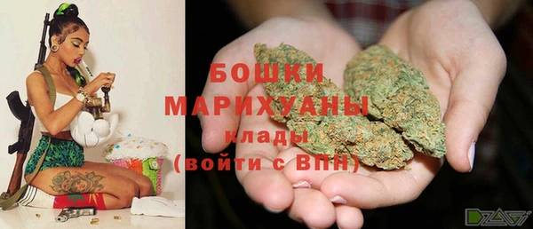бошки Заводоуковск